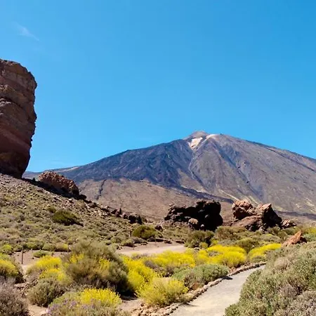 Апартаменты Dreamy